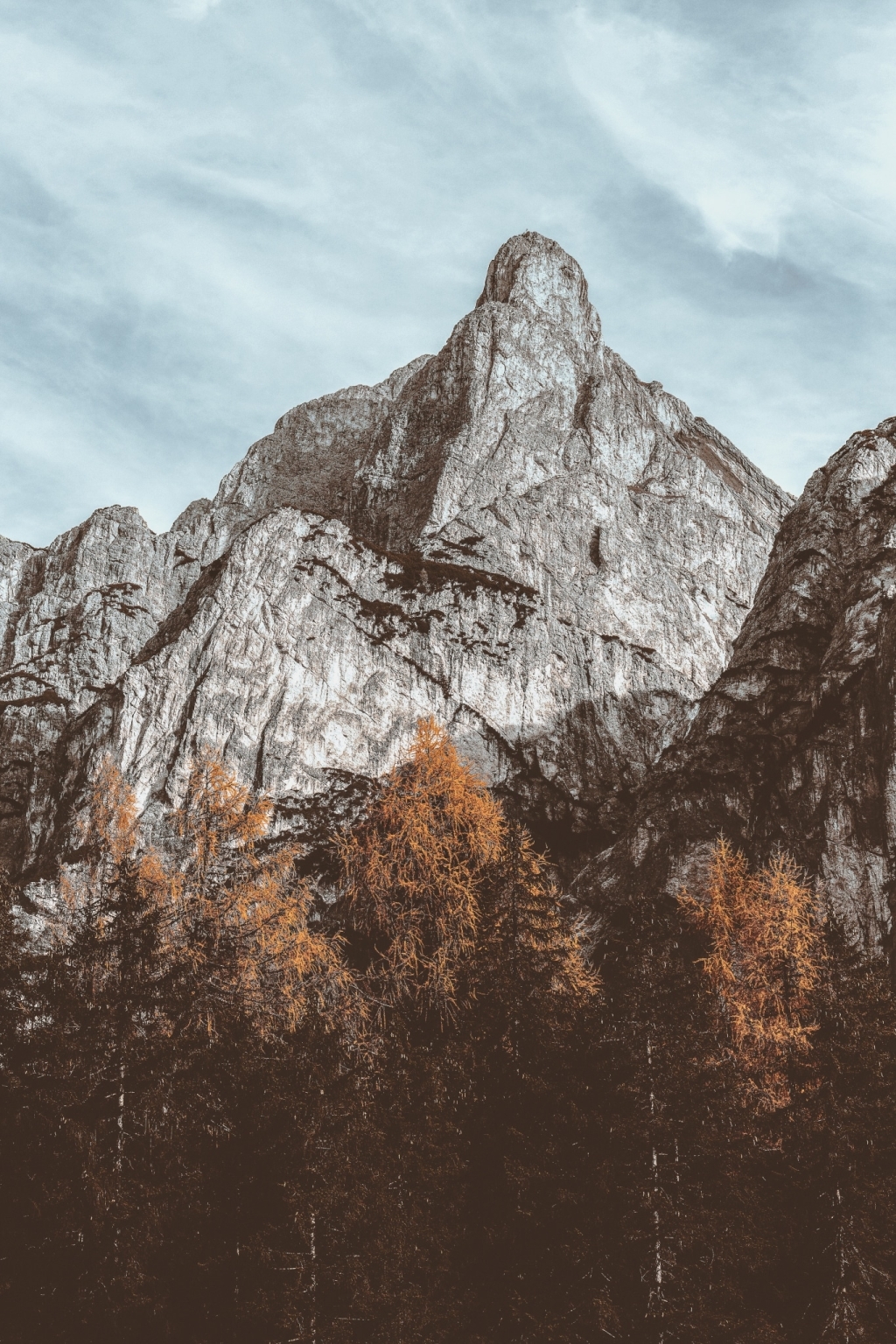 ein hoher Berg hinter einem Wald